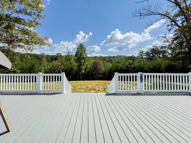 95 Chilson Drive, Warne, NC 28909