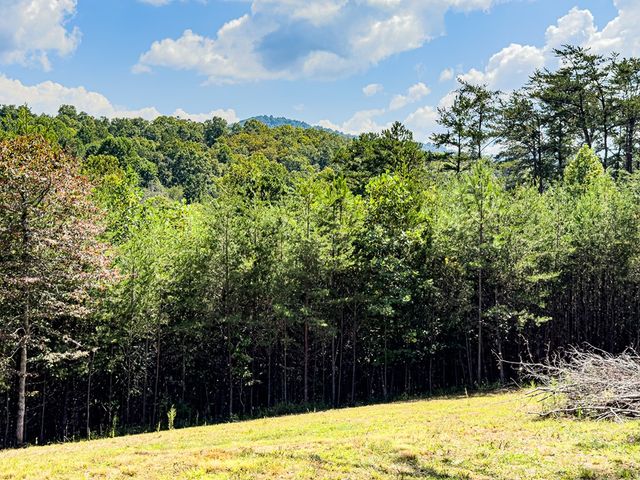 95 Chilson Drive, Warne, NC 28909