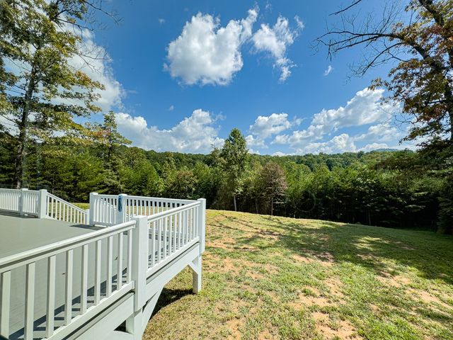 95 Chilson Drive, Warne, NC 28909