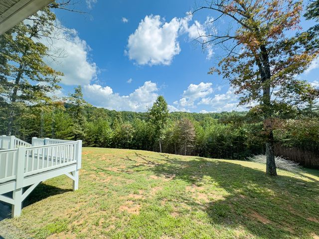 95 Chilson Drive, Warne, NC 28909