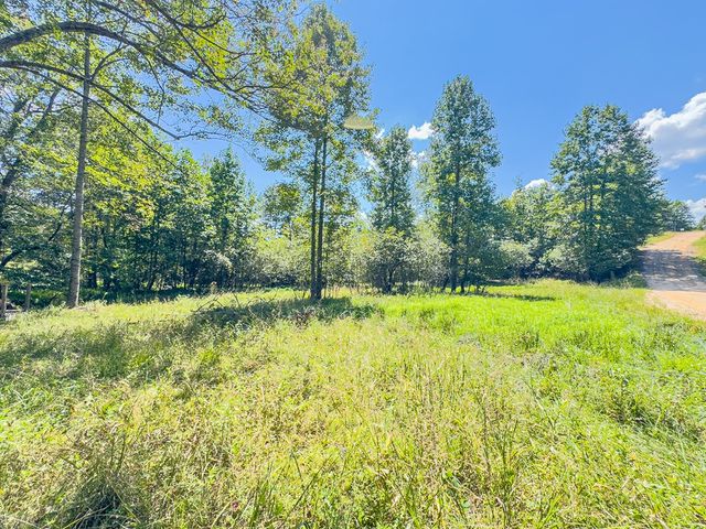 95 Chilson Drive, Warne, NC 28909