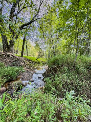 95 Chilson Drive, Warne, NC 28909