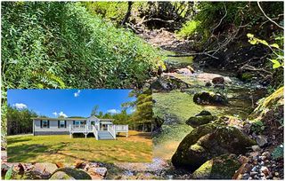 95 Chilson Drive, Warne, NC 28909