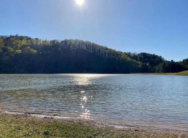 1002 Raccoon Ridge NE, Ranger, GA 30734