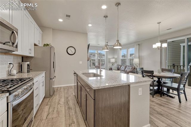 2990 Low Meadow Boulevard, Castle Rock, CO 80109