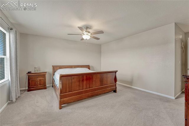 2990 Low Meadow Boulevard, Castle Rock, CO 80109