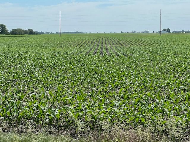 00 Scott Park Road, Eldridge, IA 52748