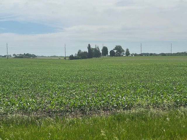 00 Scott Park Road, Eldridge, IA 52748