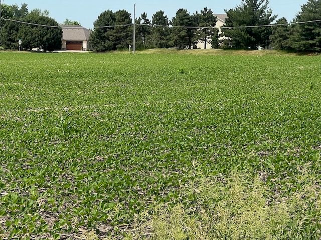 00 Scott Park Road, Eldridge, IA 52748