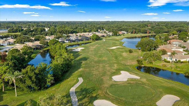 9095 LAUREL RIDGE DRIVE, Mount Dora, FL 32757