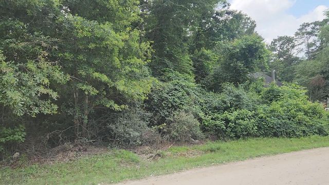 Lot 5 B55 Tawnyberry Lane, Plantersville, TX 77363
