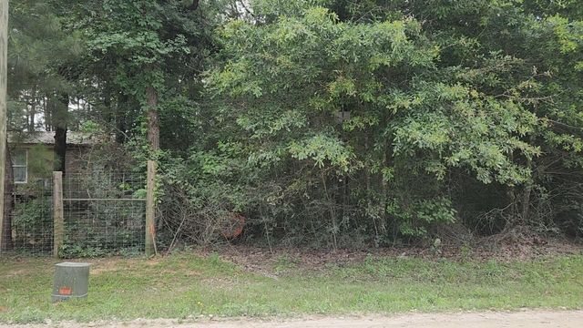 Lot 5 B55 Tawnyberry Lane, Plantersville, TX 77363