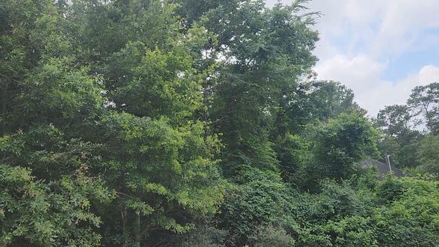 Lot 5 B55 Tawnyberry Lane, Plantersville, TX 77363