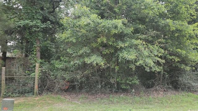 Lot 5 B55 Tawnyberry Lane, Plantersville, TX 77363