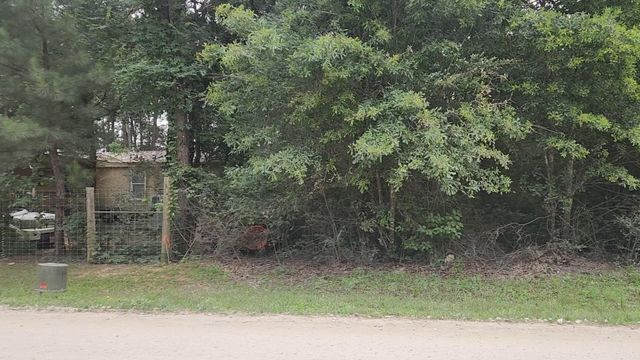 Lot 5 B55 Tawnyberry Lane, Plantersville, TX 77363