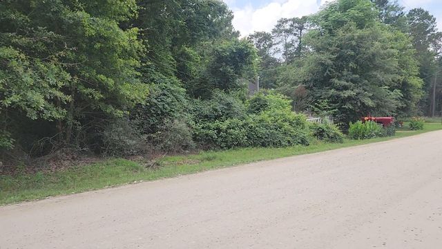 Lot 5 B55 Tawnyberry Lane, Plantersville, TX 77363