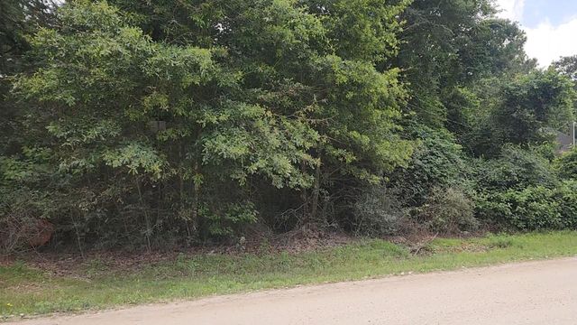 Lot 5 B55 Tawnyberry Lane, Plantersville, TX 77363