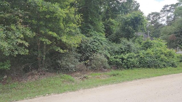 Lot 5 B55 Tawnyberry Lane, Plantersville, TX 77363