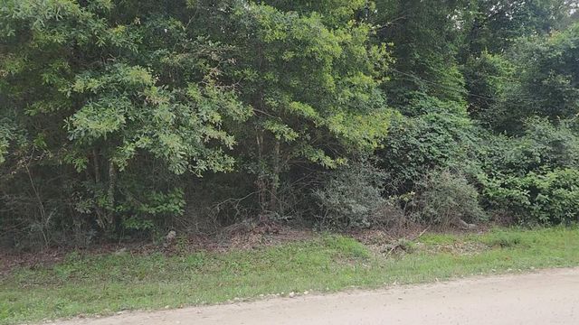 Lot 5 B55 Tawnyberry Lane, Plantersville, TX 77363