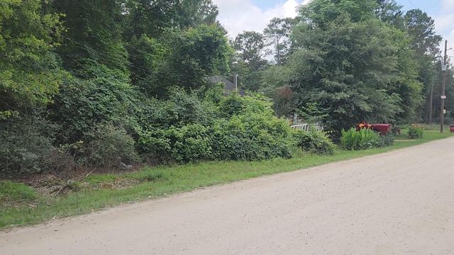 Lot 5 B55 Tawnyberry Lane, Plantersville, TX 77363