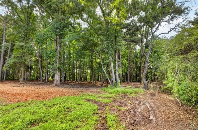 10987 Freehome Highway, Canton, GA 30115