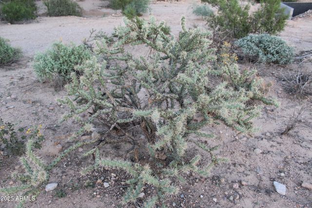 4905 N DELAWARE Drive 100-11-032D, Apache Junction, AZ 85120