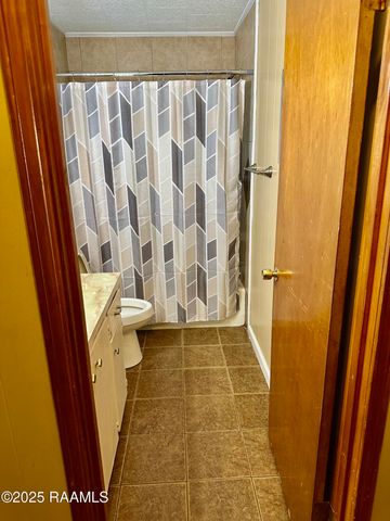 117 Collins Drive, Carencro, LA 70520