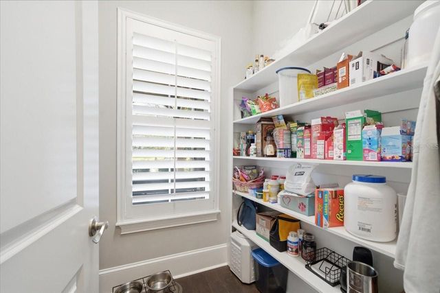 14910 FISHHAWK PRESERVE DRIVE, Lithia, FL 33547