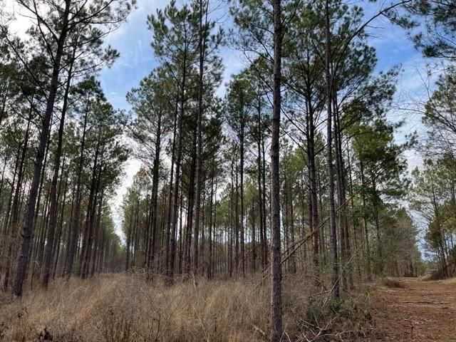 Tract 2 Strickland Fox Hunting Rd, Waskom, TX 75962