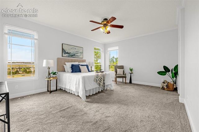 9135 Chetwood Drive, Colorado Springs, CO 80920