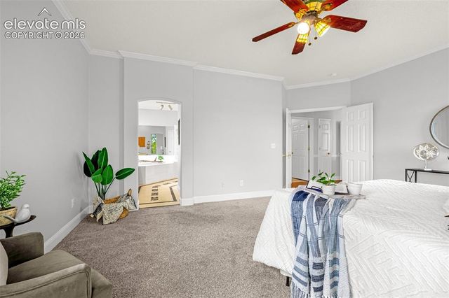 9135 Chetwood Drive, Colorado Springs, CO 80920