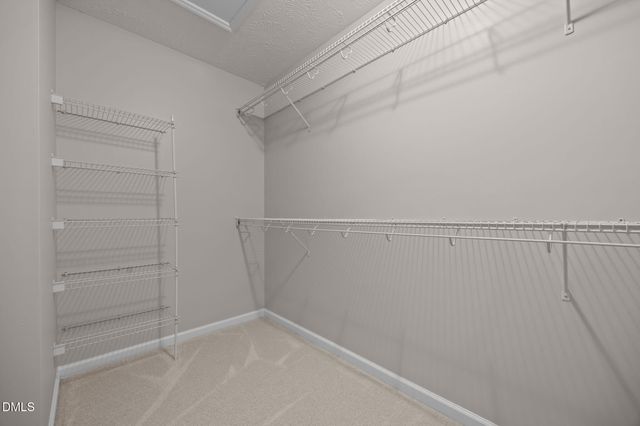 224 Scuppernong Drive, Lillington, NC 27546