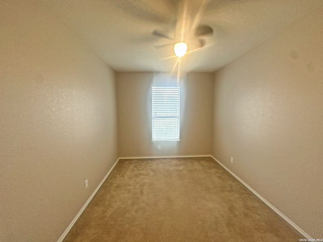 7703 SUNDEW MIST, San Antonio, TX 78244