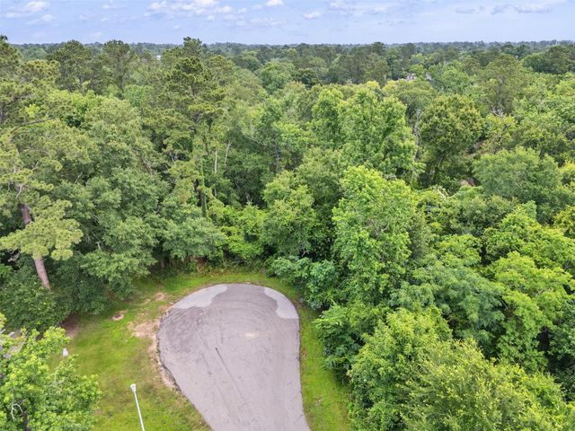 127 Butlers Island Street, Conroe, TX 77302