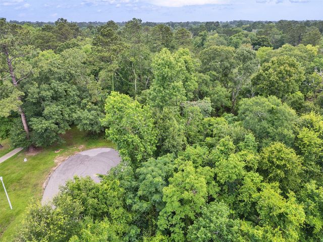 127 Butlers Island Street, Conroe, TX 77302