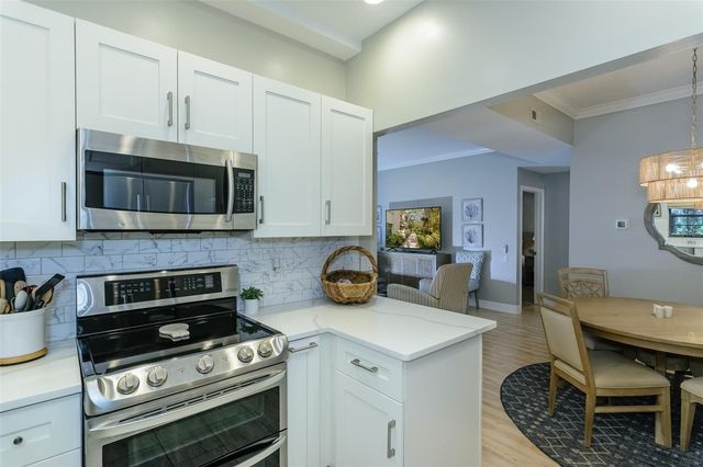 209 LOS PRADOS DRIVE 1313, Safety Harbor, FL 34695