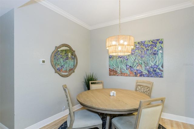 209 LOS PRADOS DRIVE 1313, Safety Harbor, FL 34695
