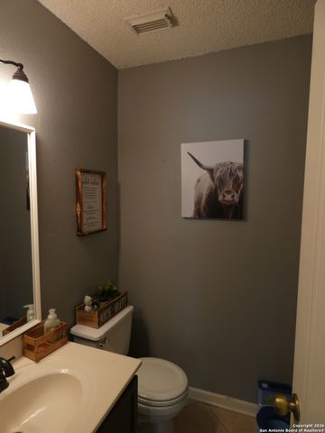 729 Willow Crossing, New Braunfels, TX 78130