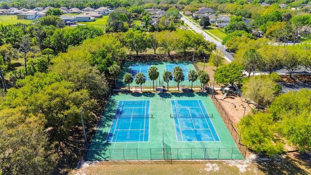 6107 KINGBIRD MANOR DRIVE, Lithia, FL 33547