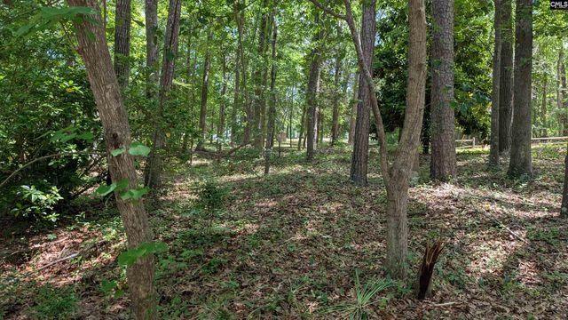 54 Windward Lane, Ridgeway, SC 29130