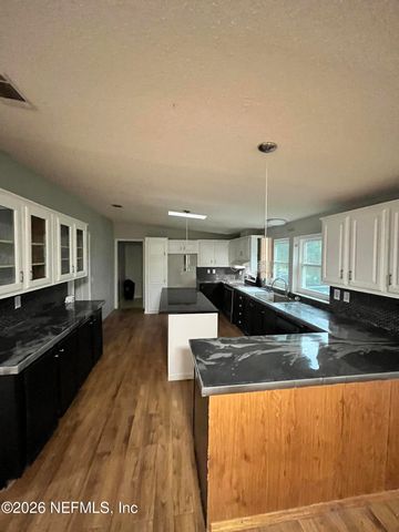 3385 OAK LEAF Lane, Middleburg, FL 32068