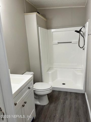 3385 OAK LEAF Lane, Middleburg, FL 32068