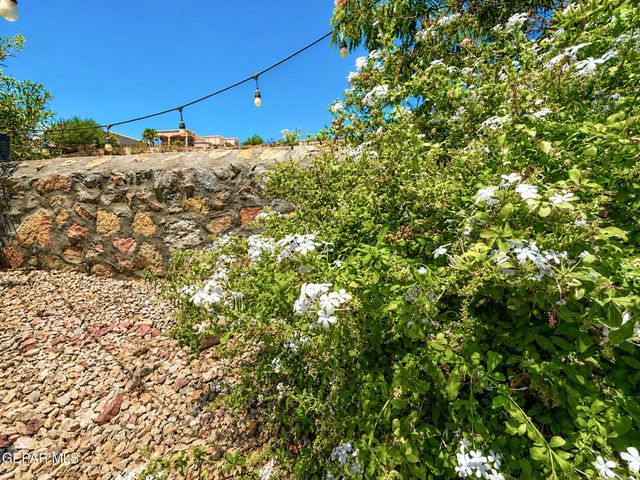 6633 WIND RIDGE Drive, El Paso, TX 79912