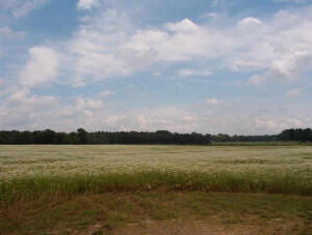 2150 17 Mile Road, Kent City, MI 49330