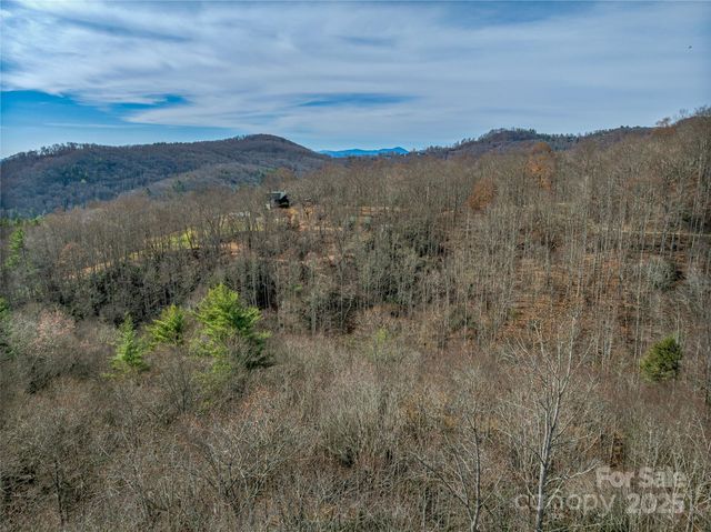 9999-12 Bob Barnwell Road, Asheville, NC 28803