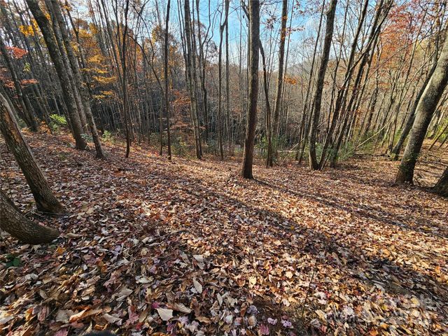 9999-12 Bob Barnwell Road, Asheville, NC 28803