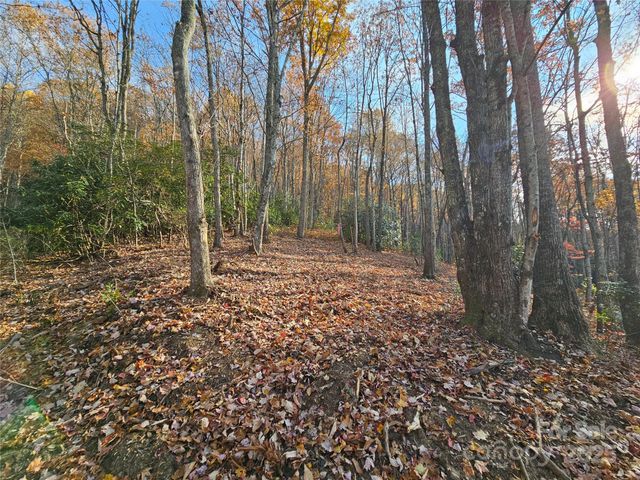 9999-12 Bob Barnwell Road, Asheville, NC 28803