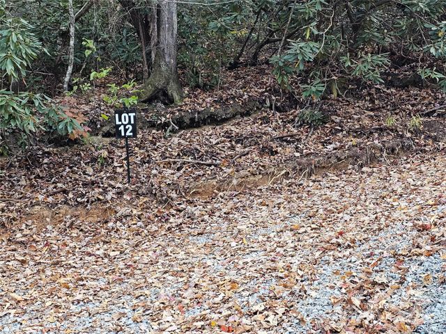 9999-12 Bob Barnwell Road, Asheville, NC 28803