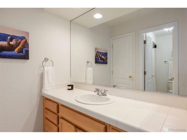 3104 Ramshorn Dr, Castle Rock, CO 80108