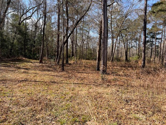 215 Garden West Road, Conroe, TX 77304